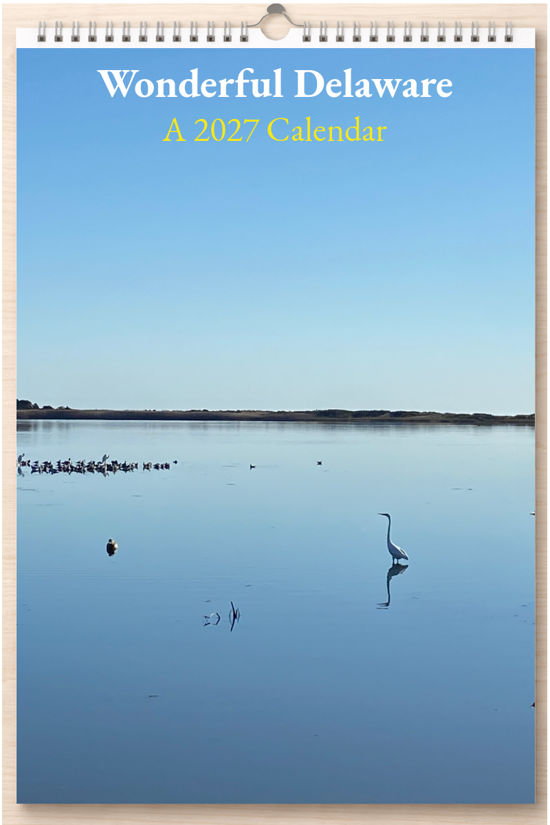 Wonderful Delaware: A 2027 Calendar