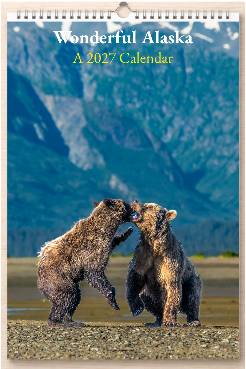 Wonderful Alaska: A 2027 Calendar
