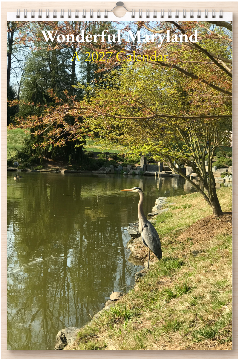 Wonderful Maryland: A 2027 Calendar