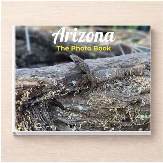 Arizona: The Photo Book