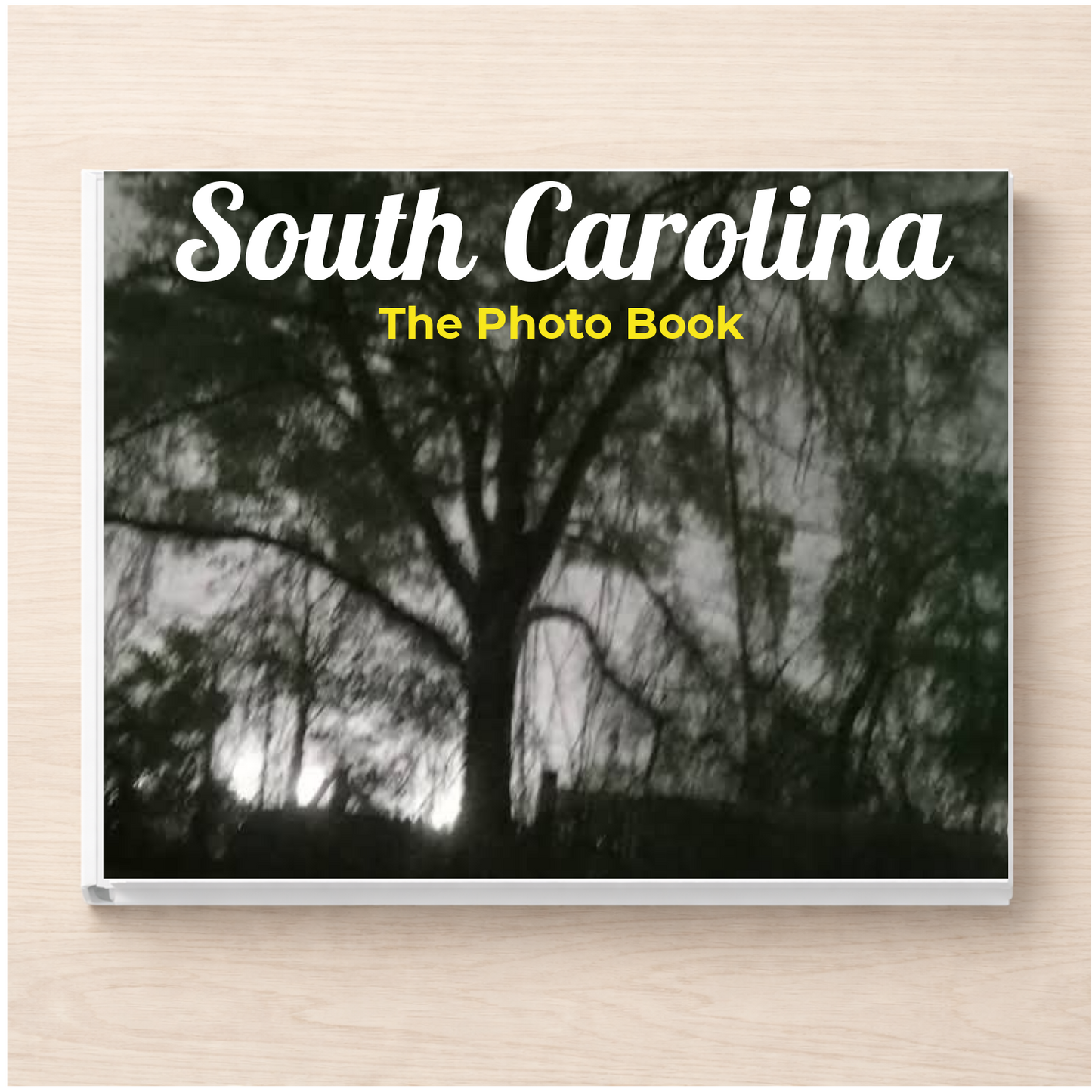 South Carolina: The Photo Book
