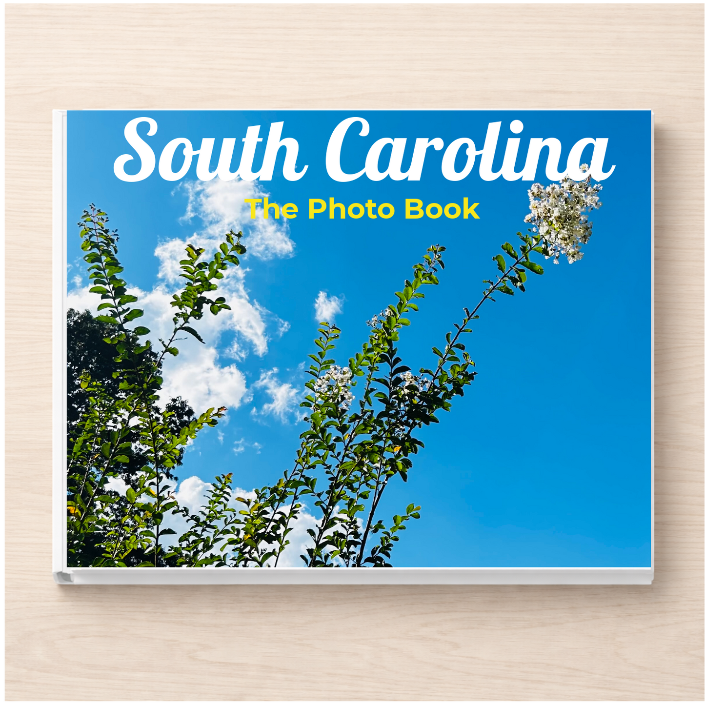 South Carolina: The Photo Book