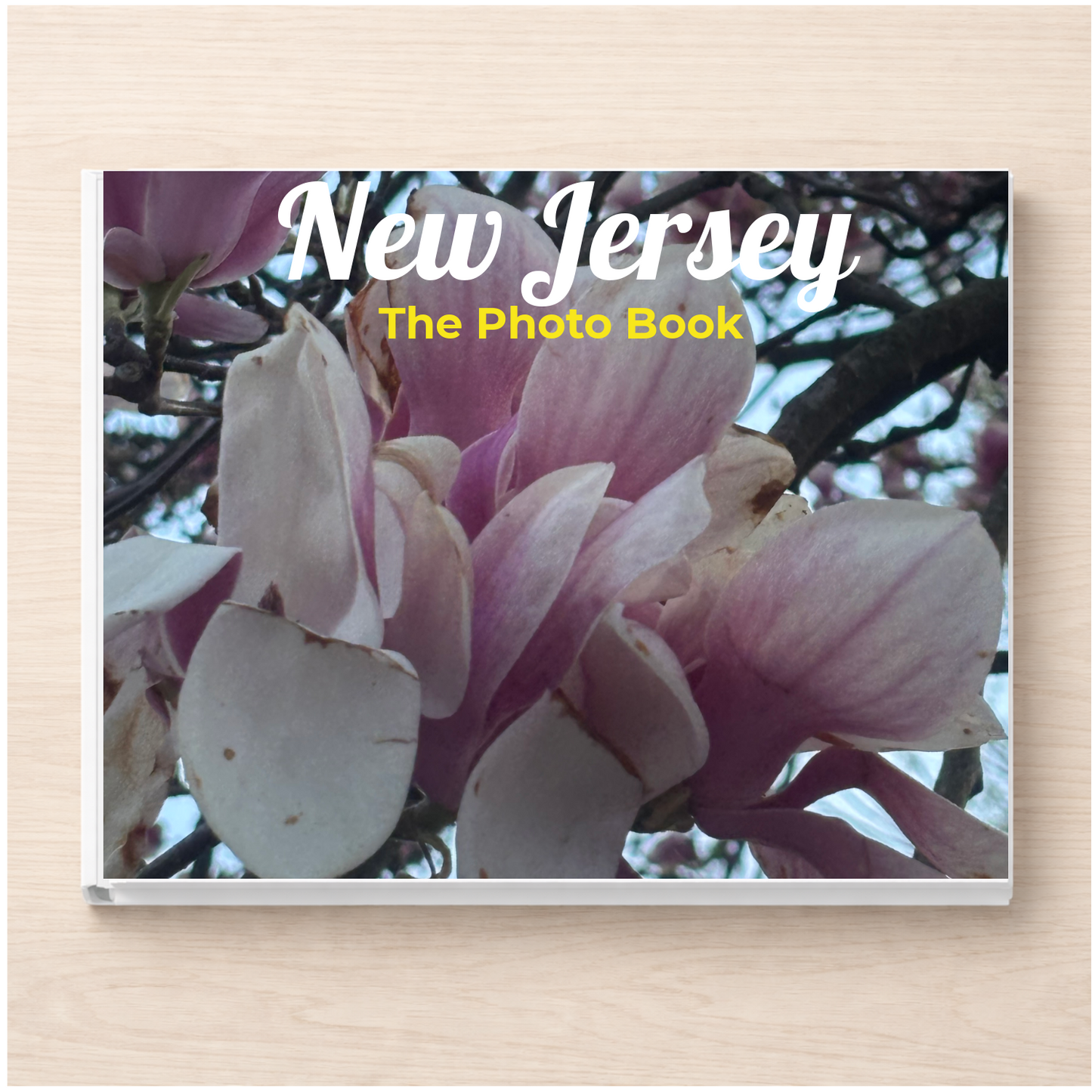New Jersey: The Photo Book