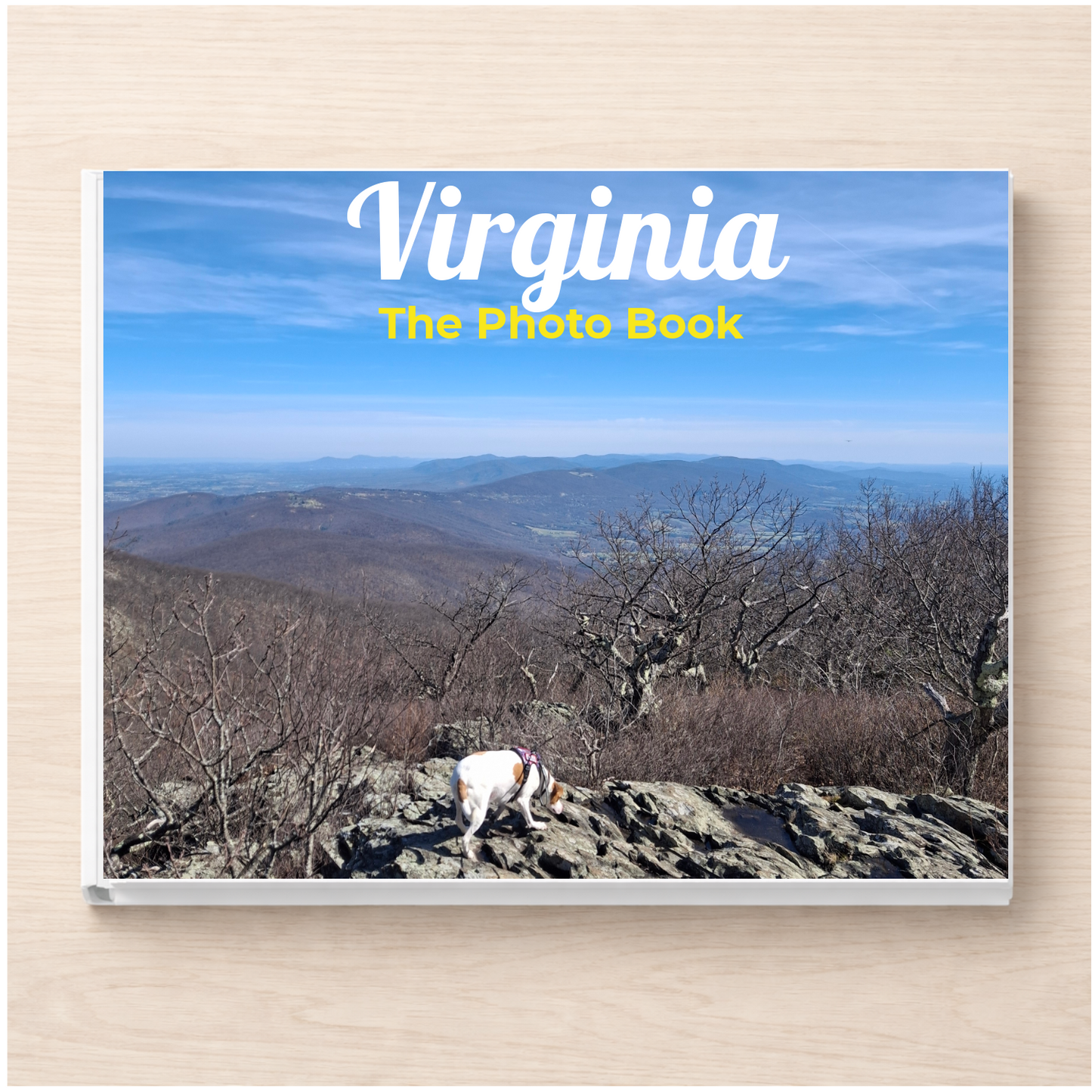 Virginia: The Photo Book
