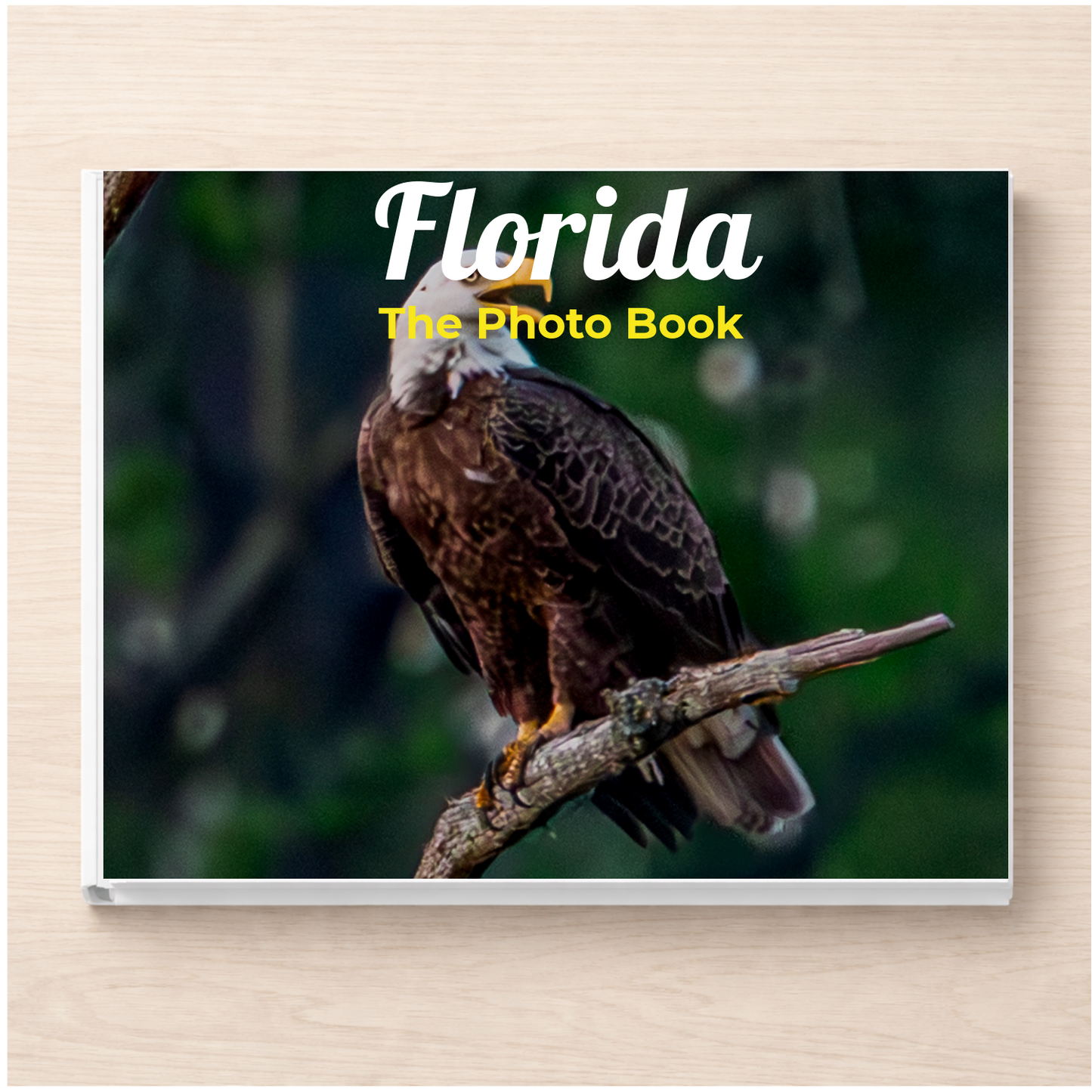 Florida: The Photo Book