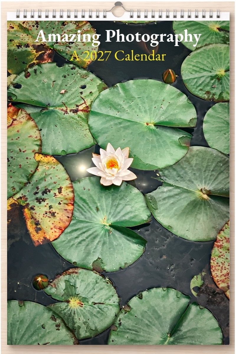 Amazing Photography: A 2027 Calendar