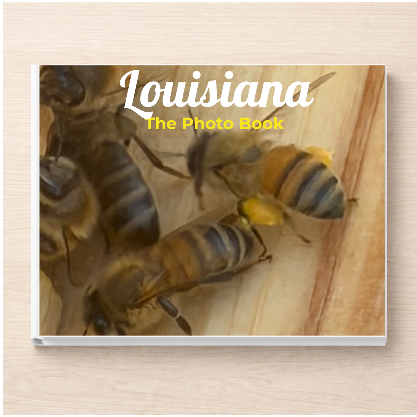 Louisiana: The Photo Book