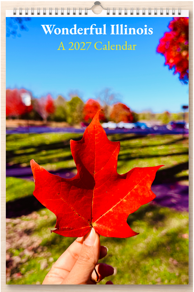 Wonderful Illinois: A 2027 Calendar