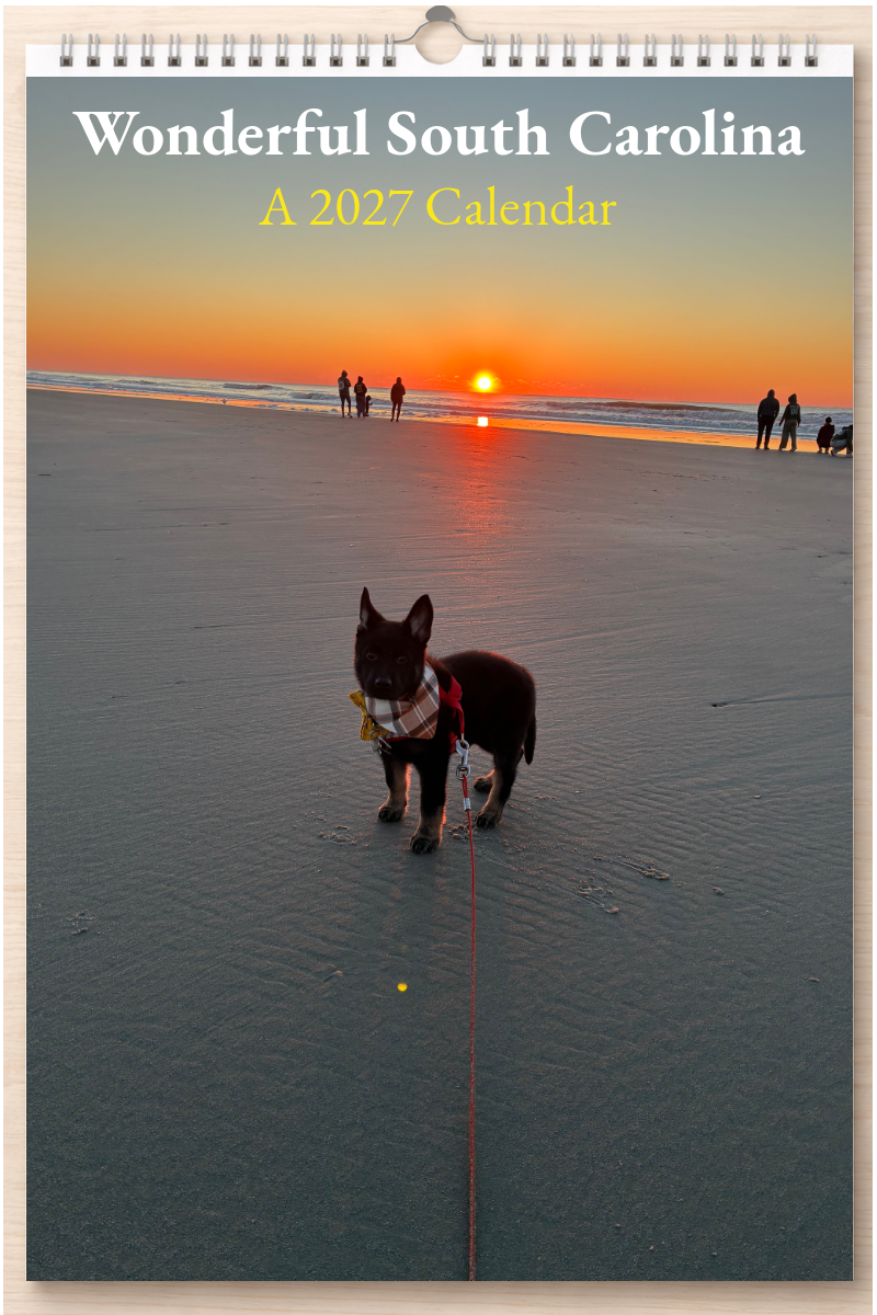 Wonderful South Carolina: A 2027 Calendar