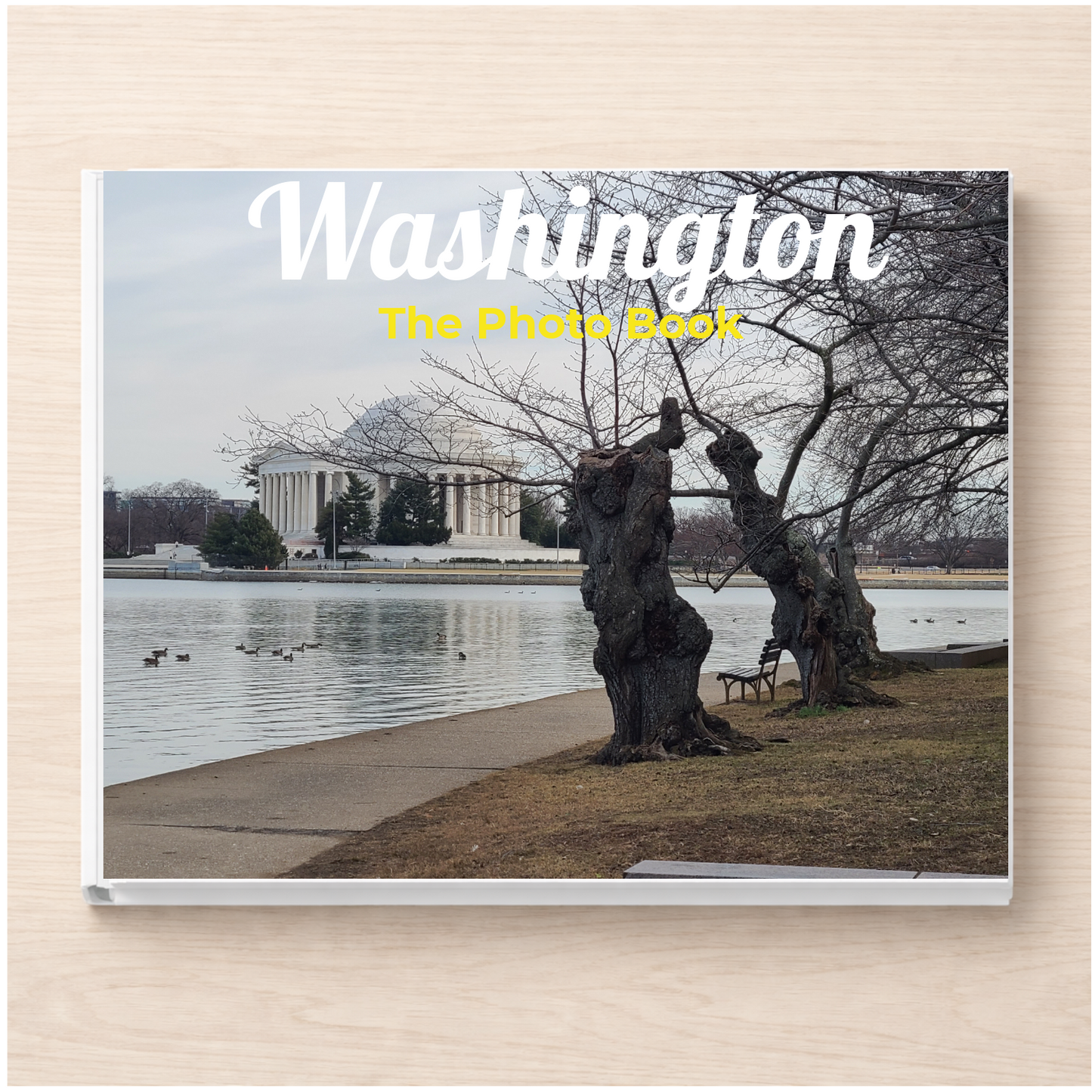 Washington: The Photo Book