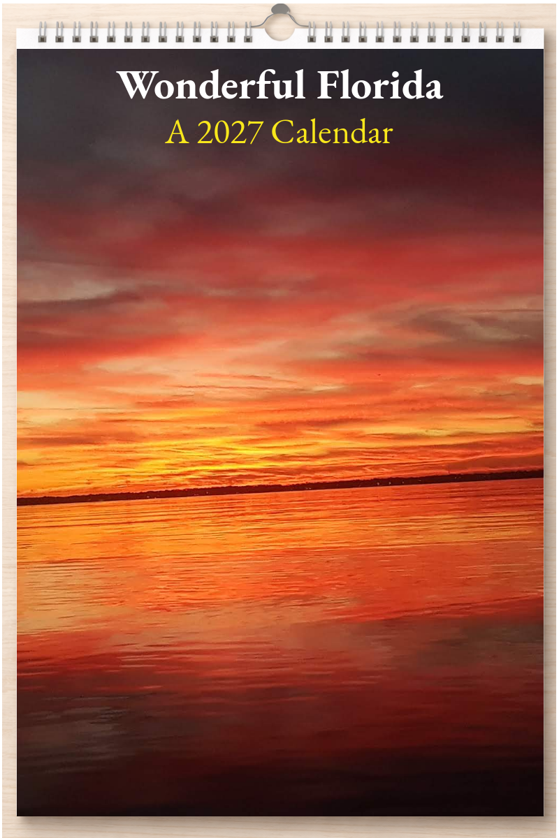 Wonderful Florida: A 2027 Calendar