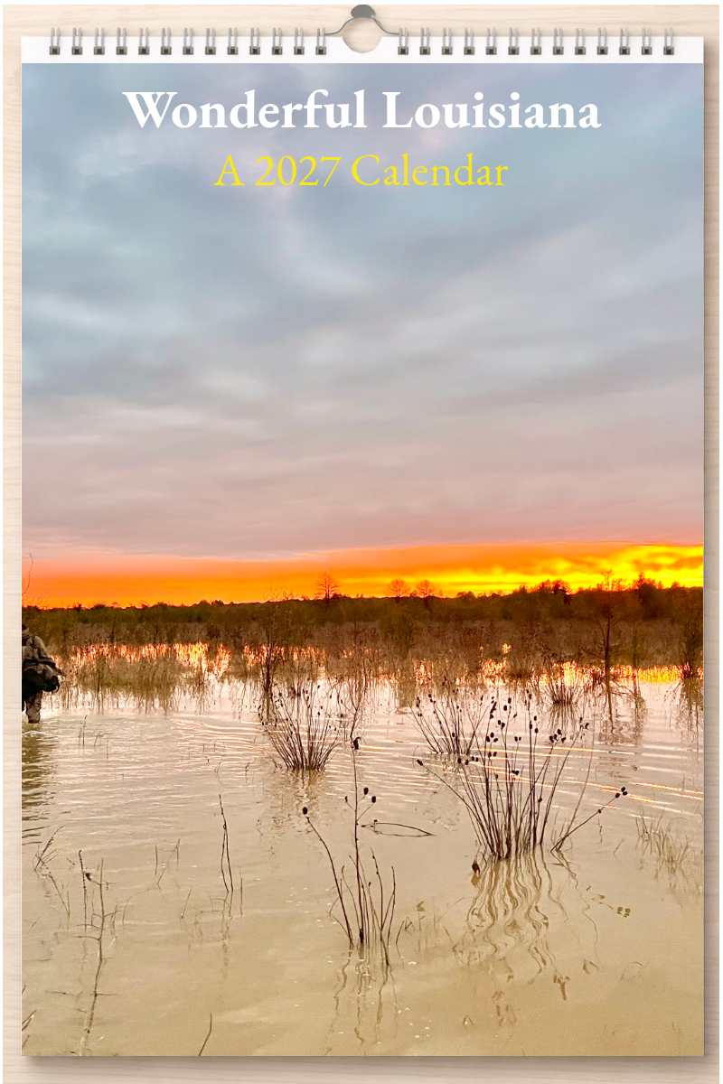 Wonderful Louisiana: A 2027 Calendar