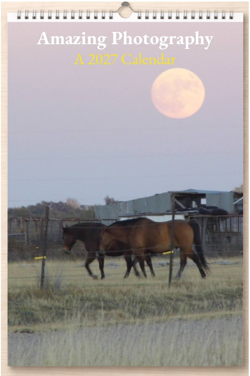 Amazing Photography: A 2027 Calendar