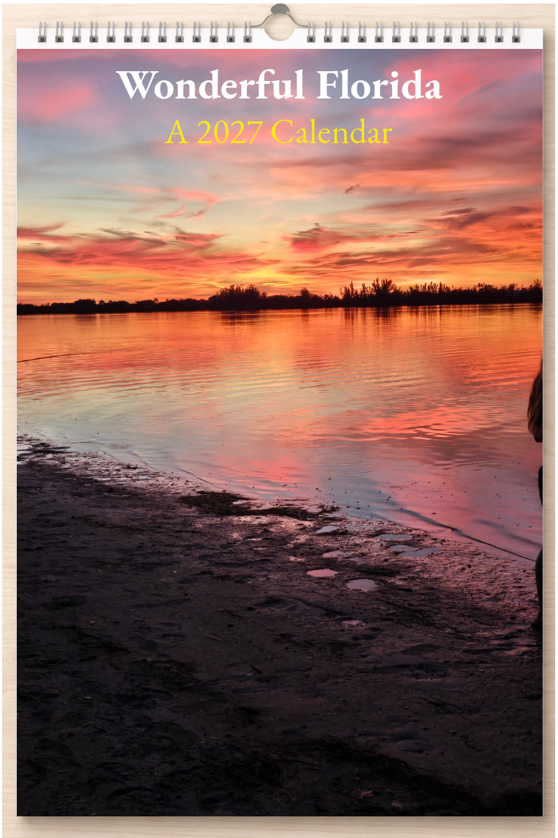 Wonderful Florida: A 2027 Calendar