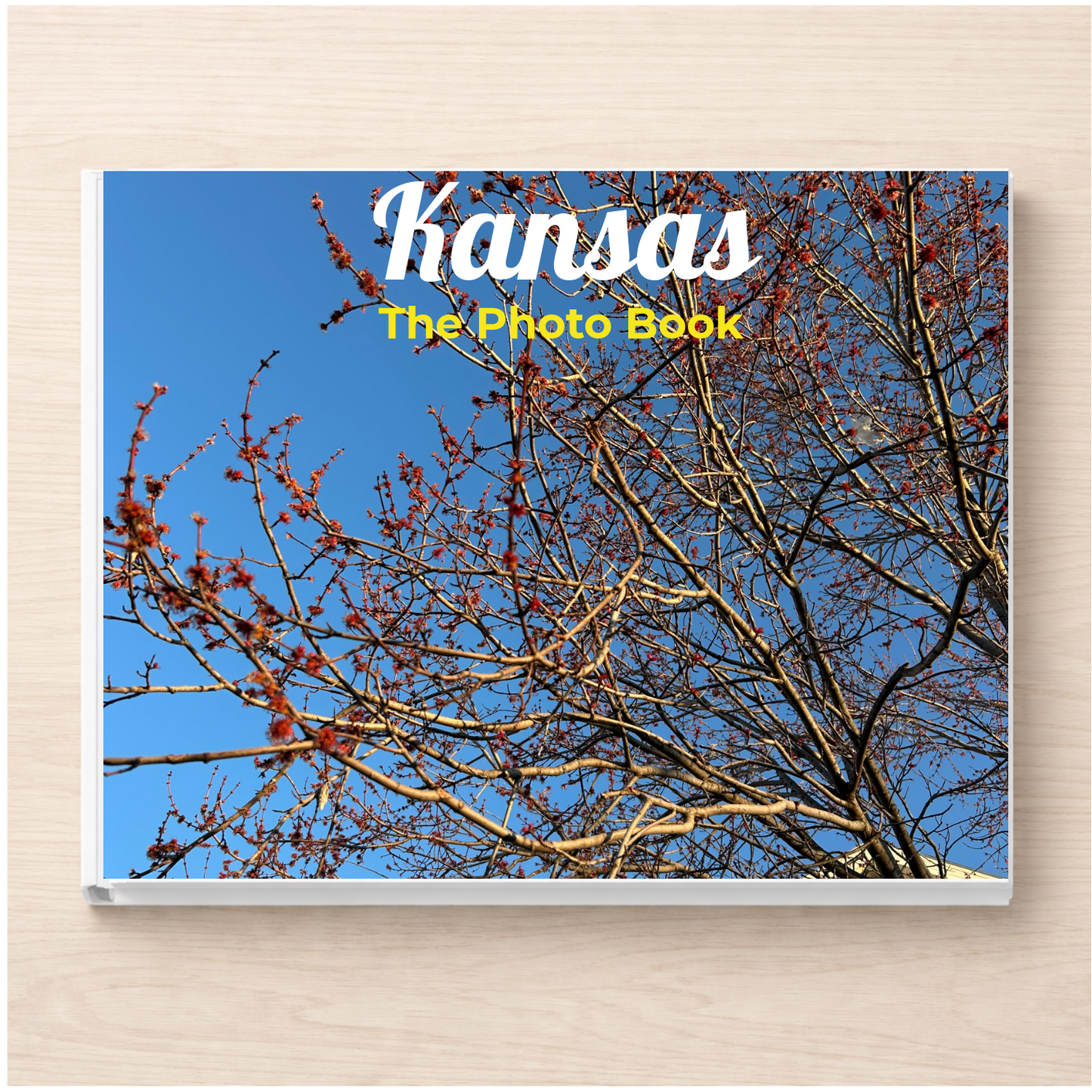Kansas: The Photo Book