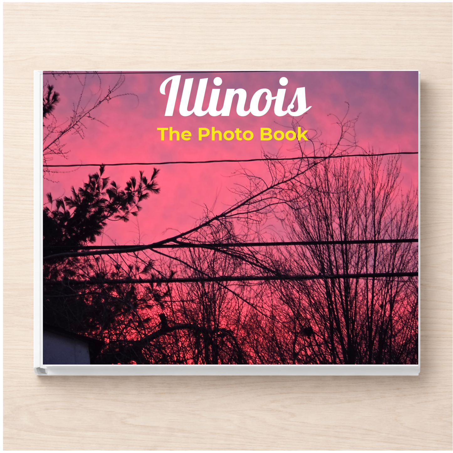 Illinois: The Photo Book