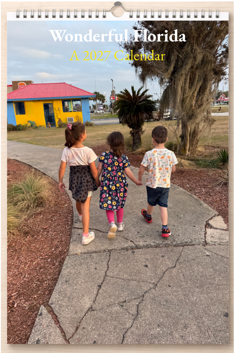 Wonderful Florida: A 2027 Calendar