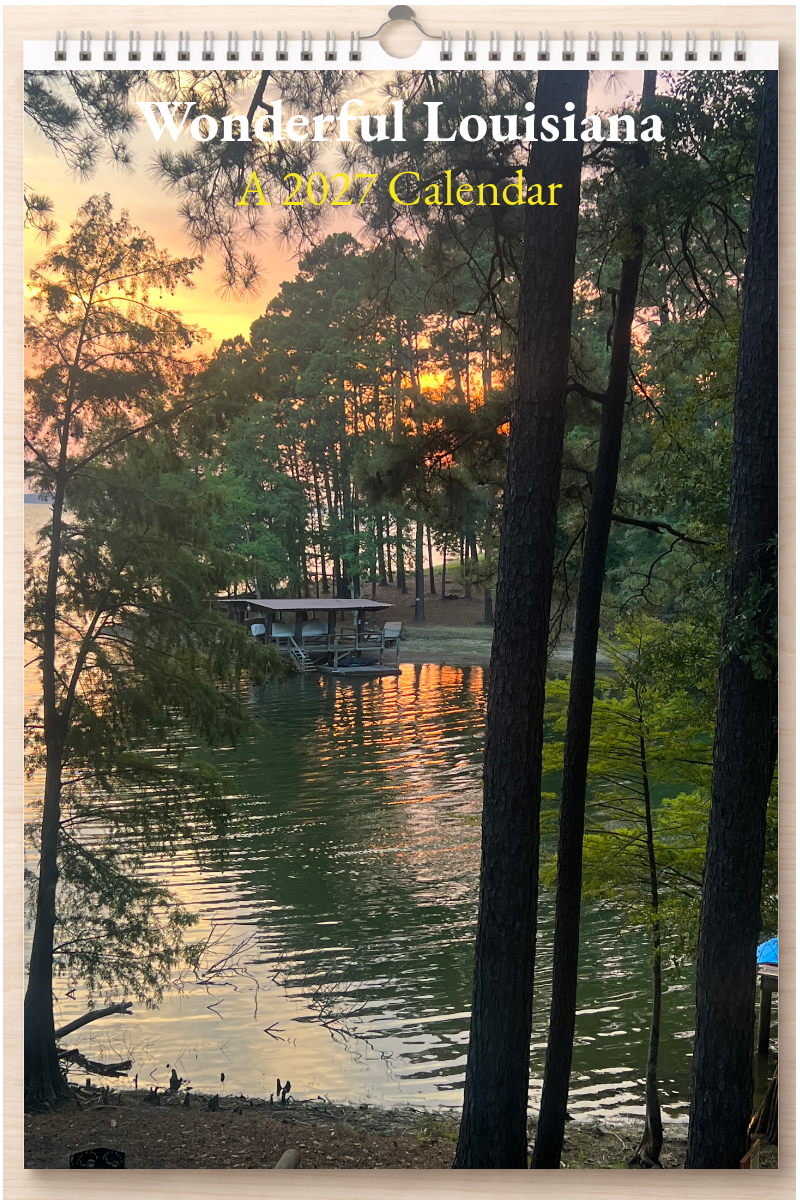 Wonderful Louisiana: A 2027 Calendar