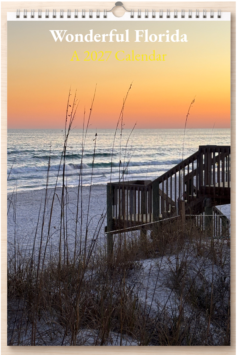 Wonderful Florida: A 2027 Calendar