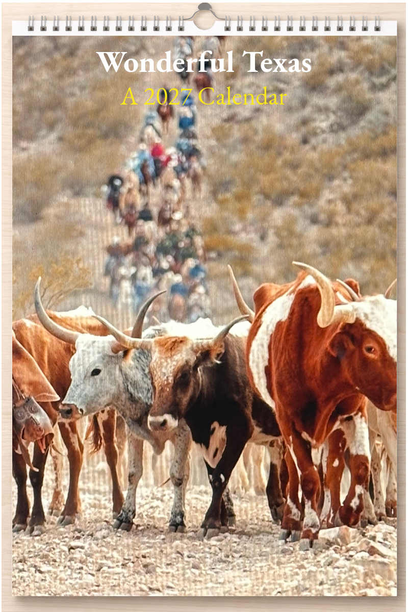 Wonderful Texas: A 2027 Calendar
