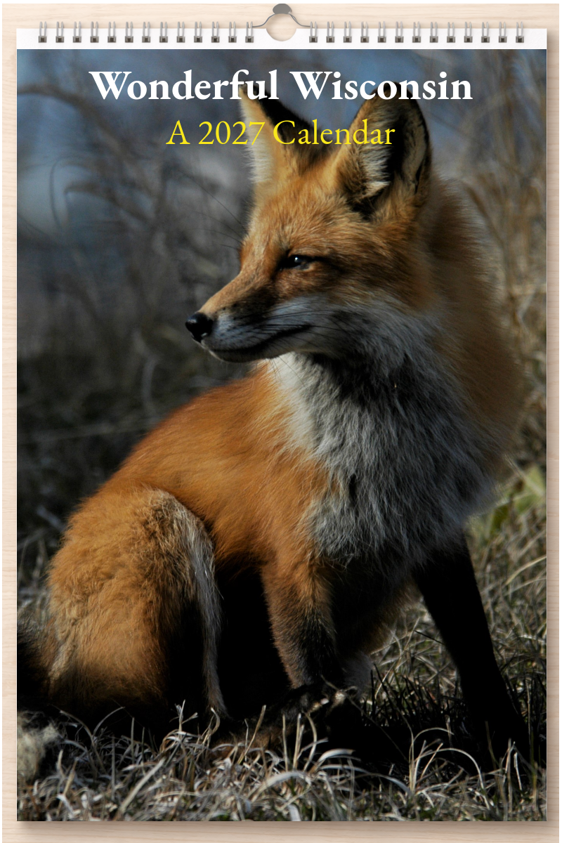 Wonderful Wisconsin: A 2027 Calendar