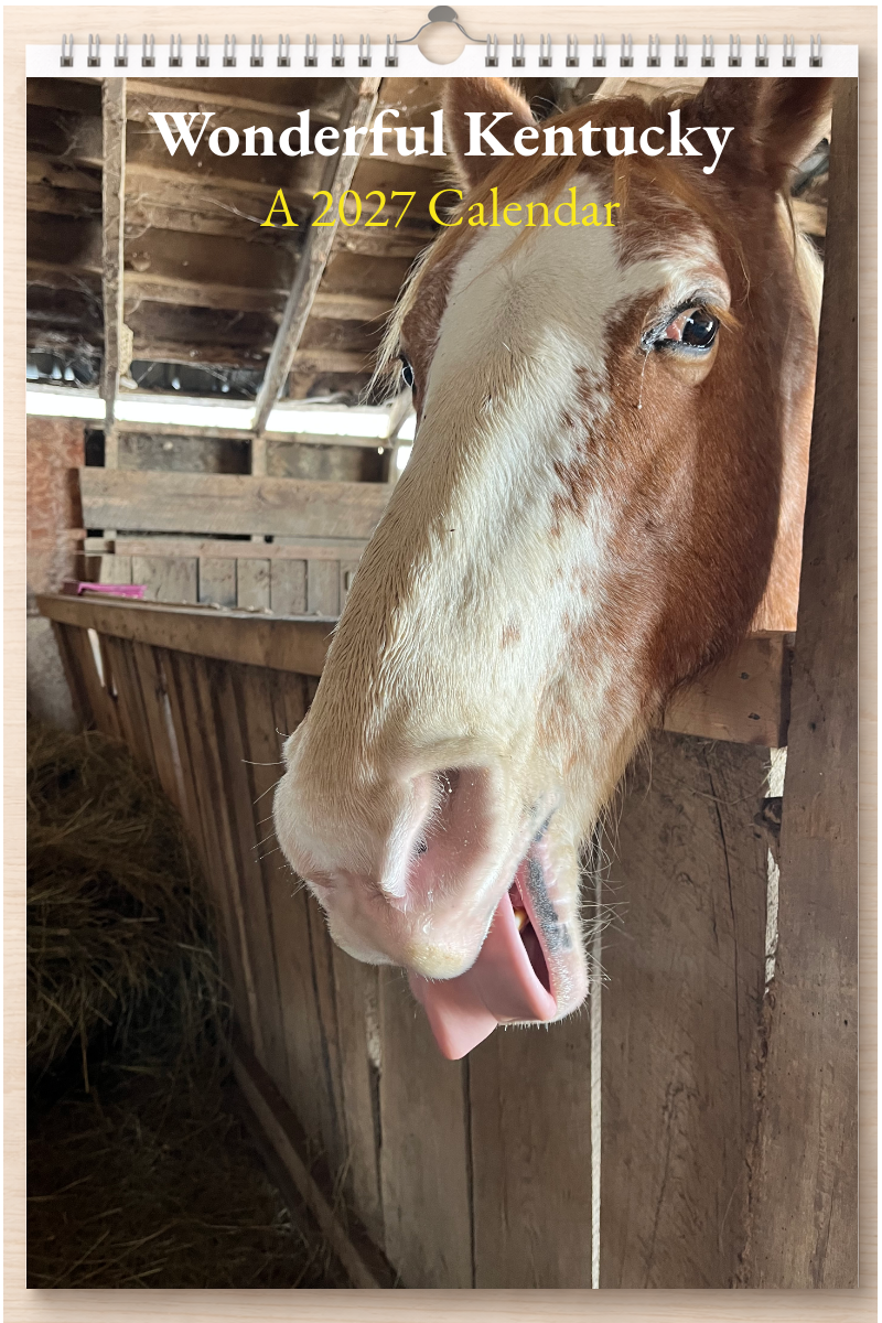 Wonderful Kentucky: A 2027 Calendar