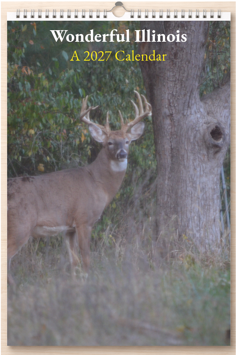 Wonderful Illinois: A 2027 Calendar