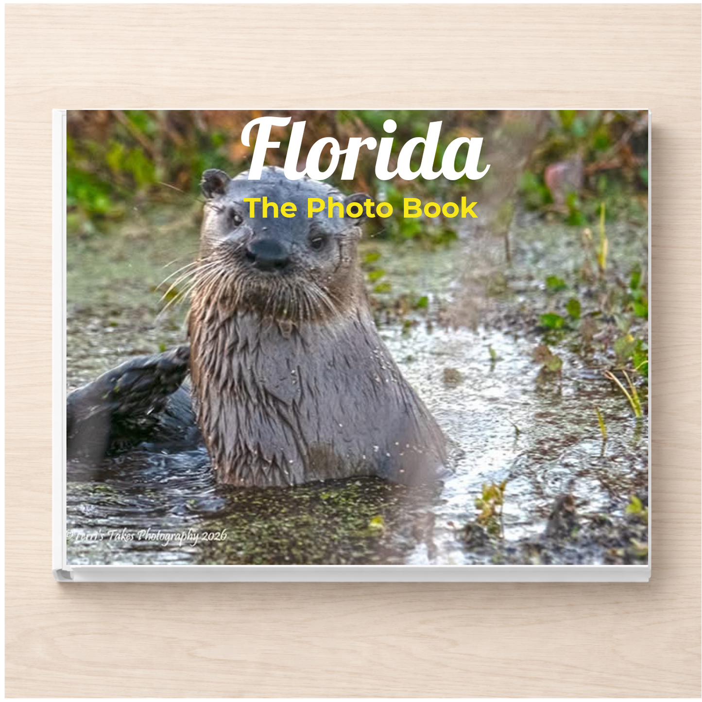 Florida: The Photo Book