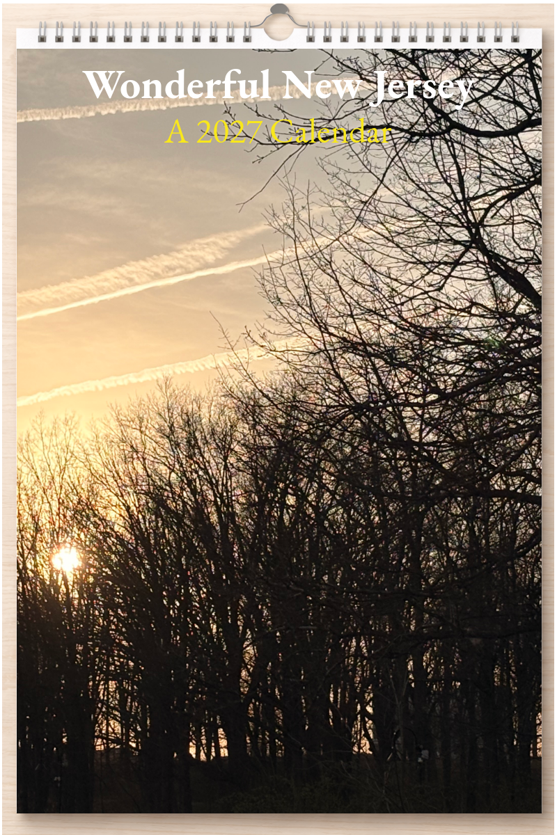Wonderful New Jersey: A 2027 Calendar