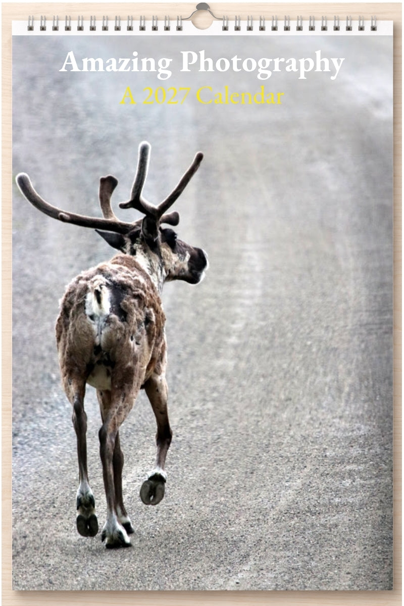 Amazing Photography: A 2027 Calendar