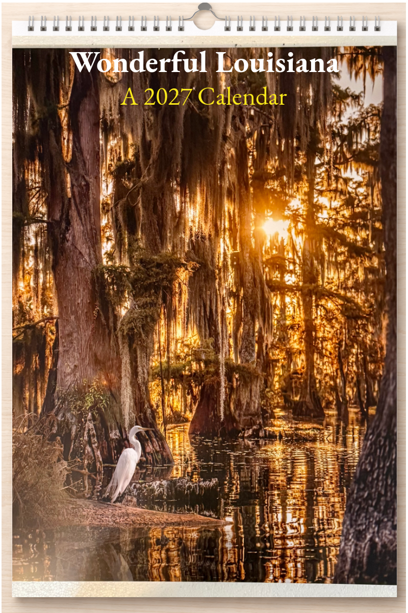 Wonderful Louisiana: A 2027 Calendar