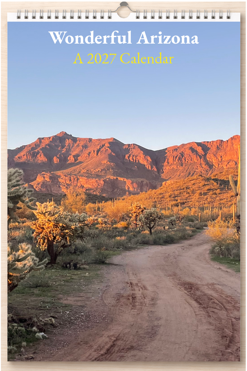 Wonderful Arizona: A 2027 Calendar