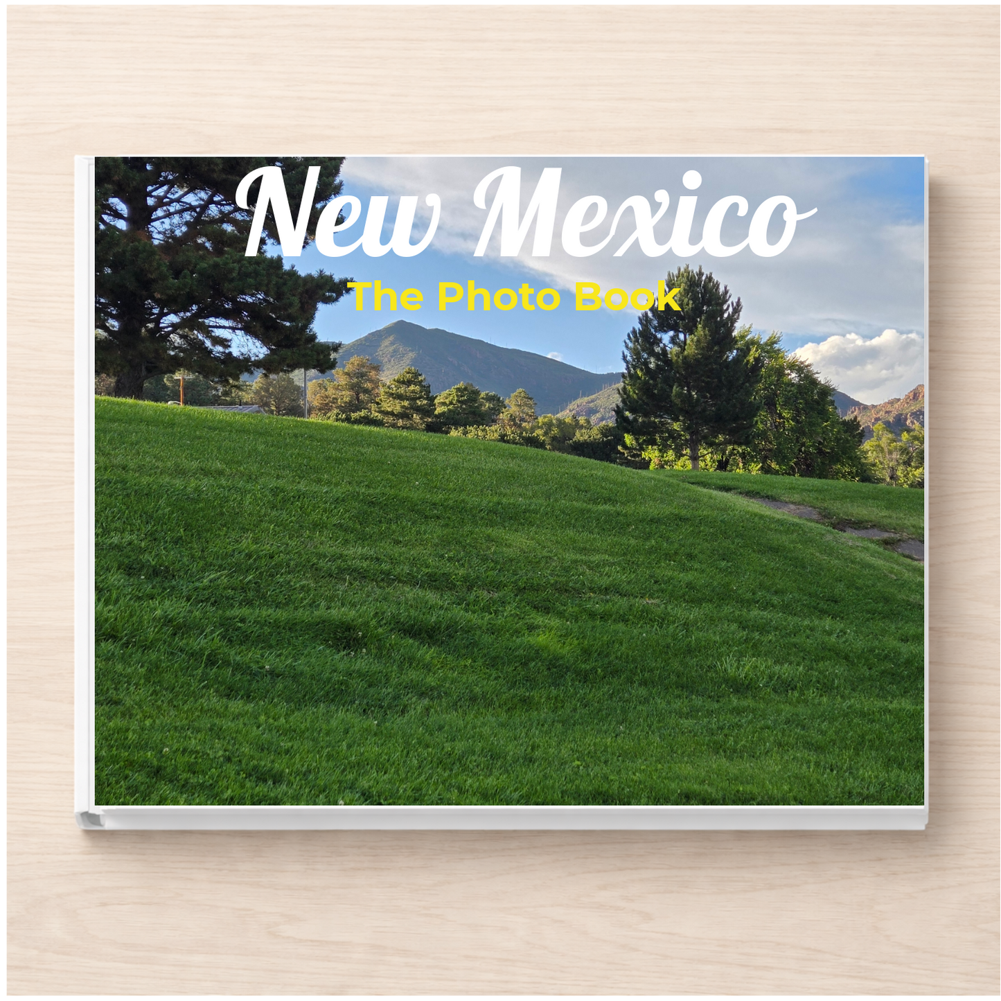 New Mexico: The Photo Book