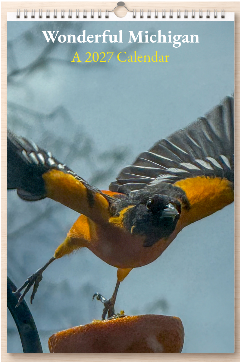 Wonderful Michigan: A 2027 Calendar