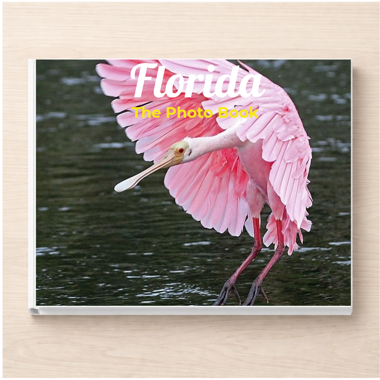 Florida: The Photo Book