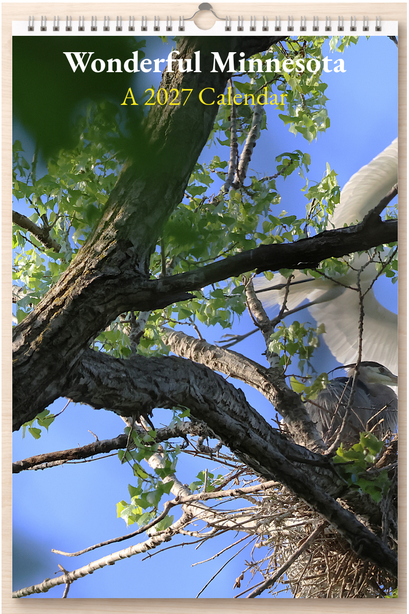 Wonderful Minnesota: A 2027 Calendar