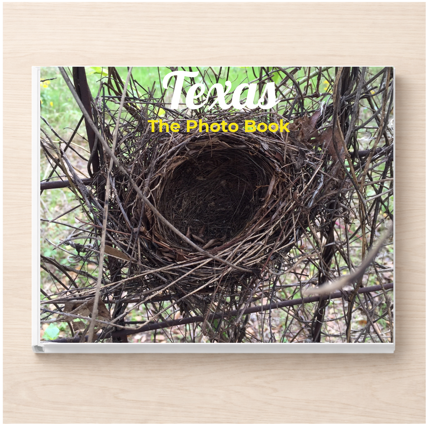 Texas: The Photo Book
