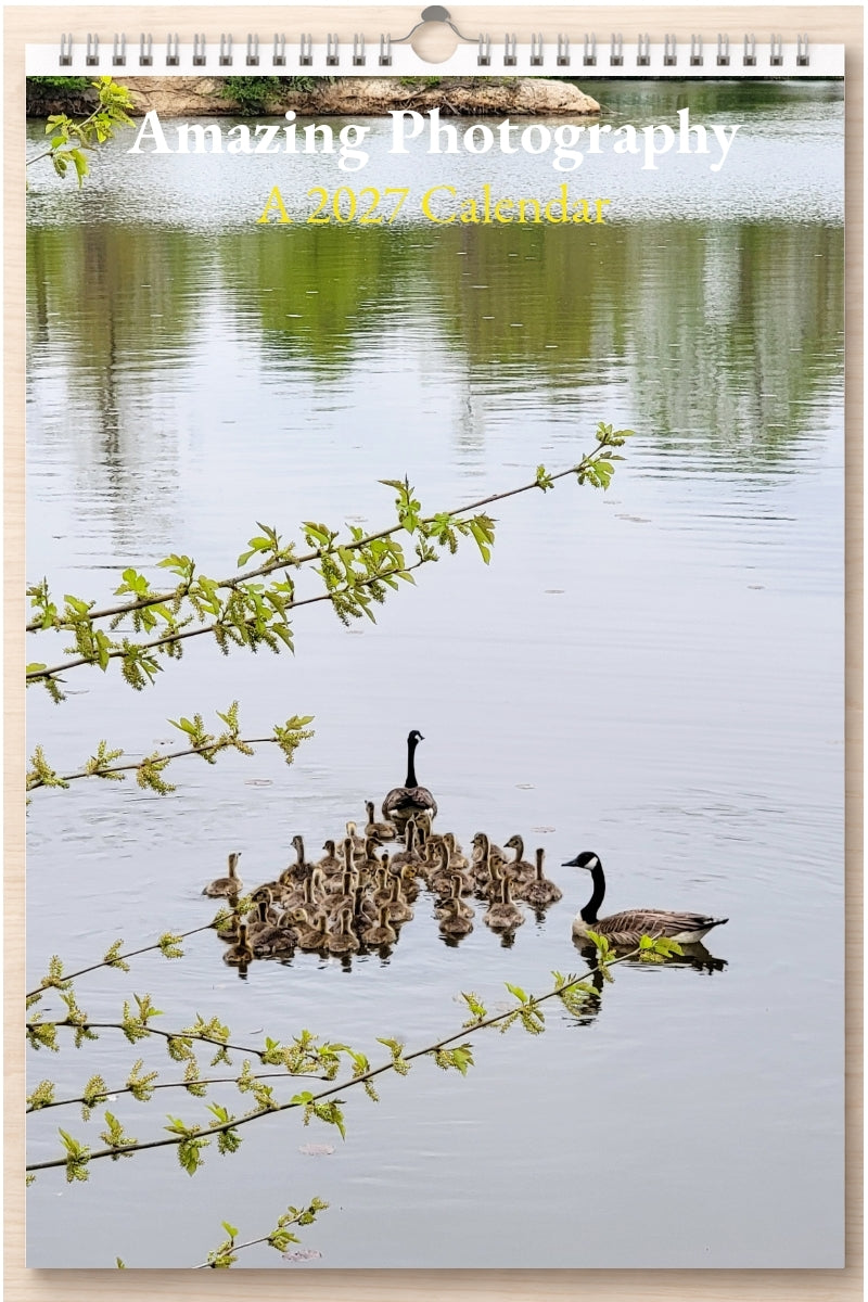 Amazing Photography: A 2027 Calendar
