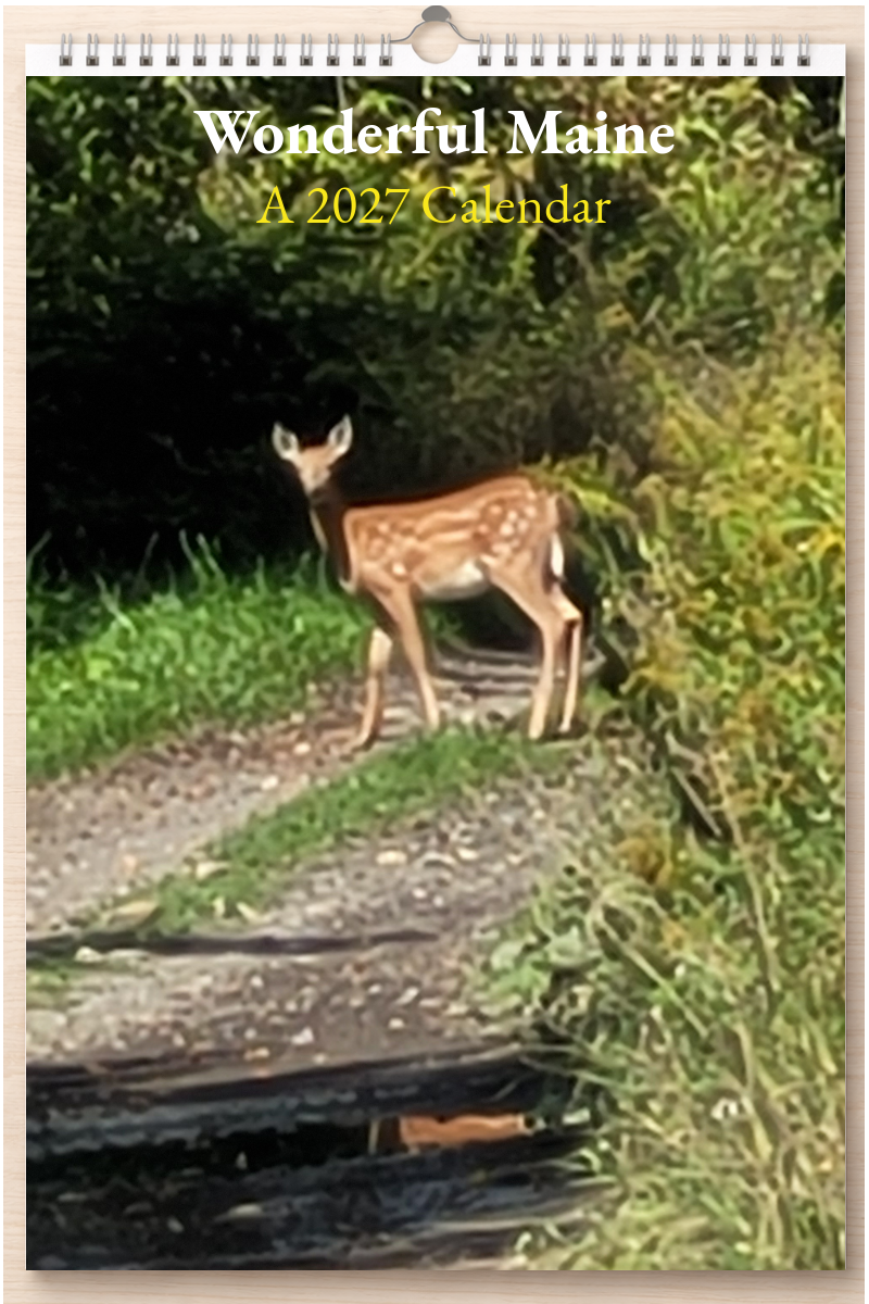 Wonderful Maine: A 2027 Calendar