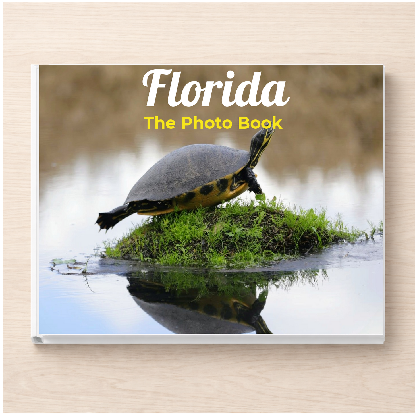Florida: The Photo Book