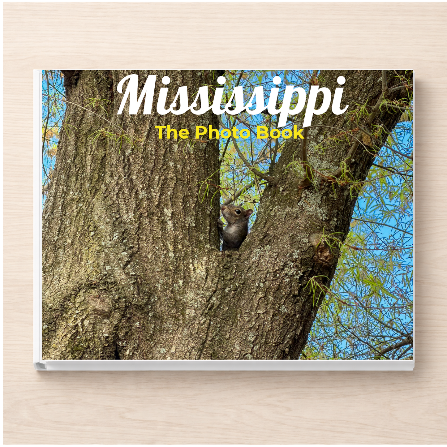 Mississippi: The Photo Book