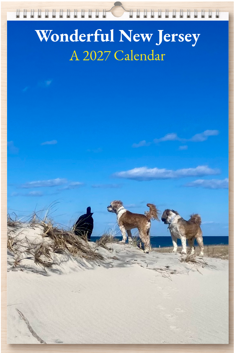 Wonderful New Jersey: A 2027 Calendar