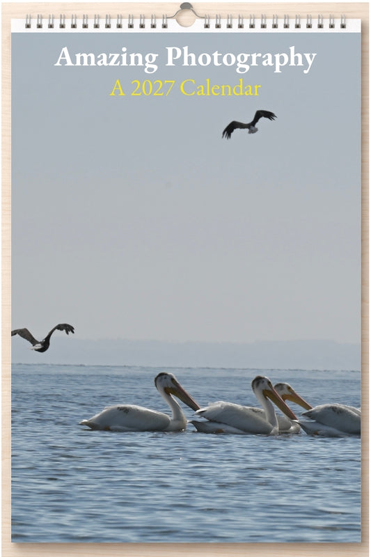 Amazing Photography: A 2027 Calendar