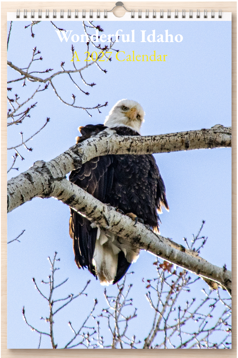 Wonderful Idaho: A 2027 Calendar