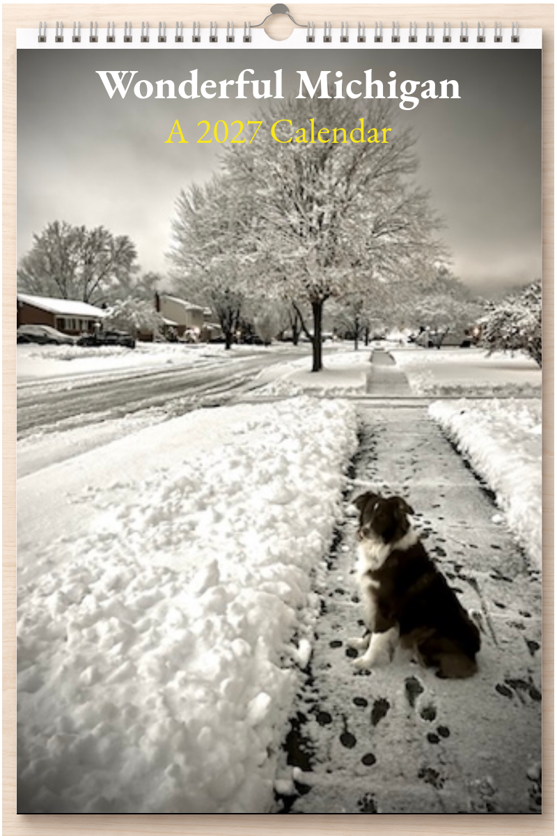 Wonderful Michigan: A 2027 Calendar