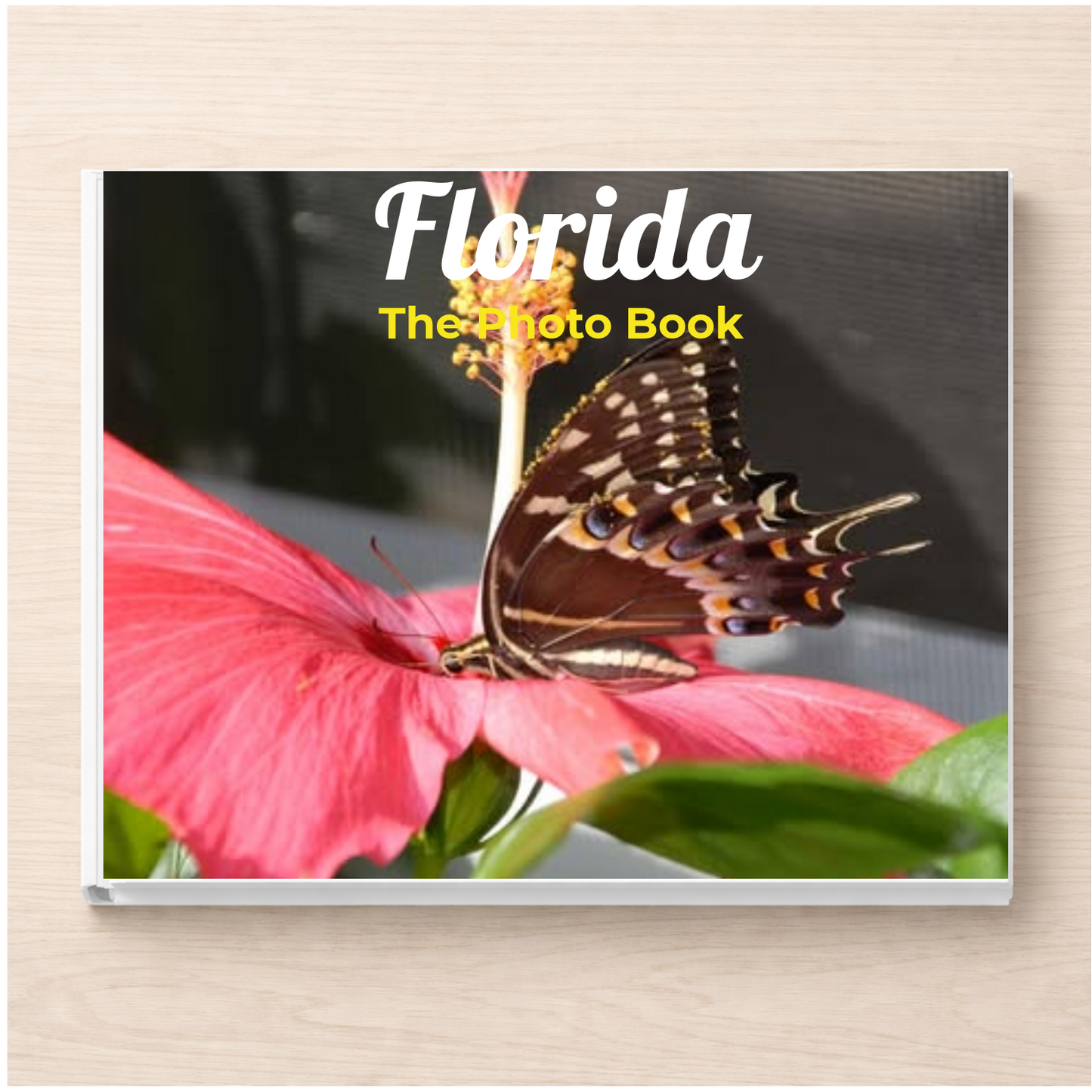 Florida: The Photo Book