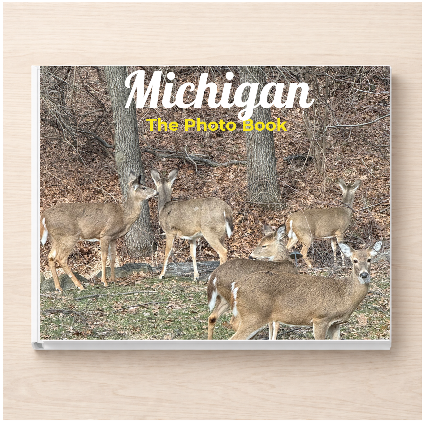 Michigan: The Photo Book