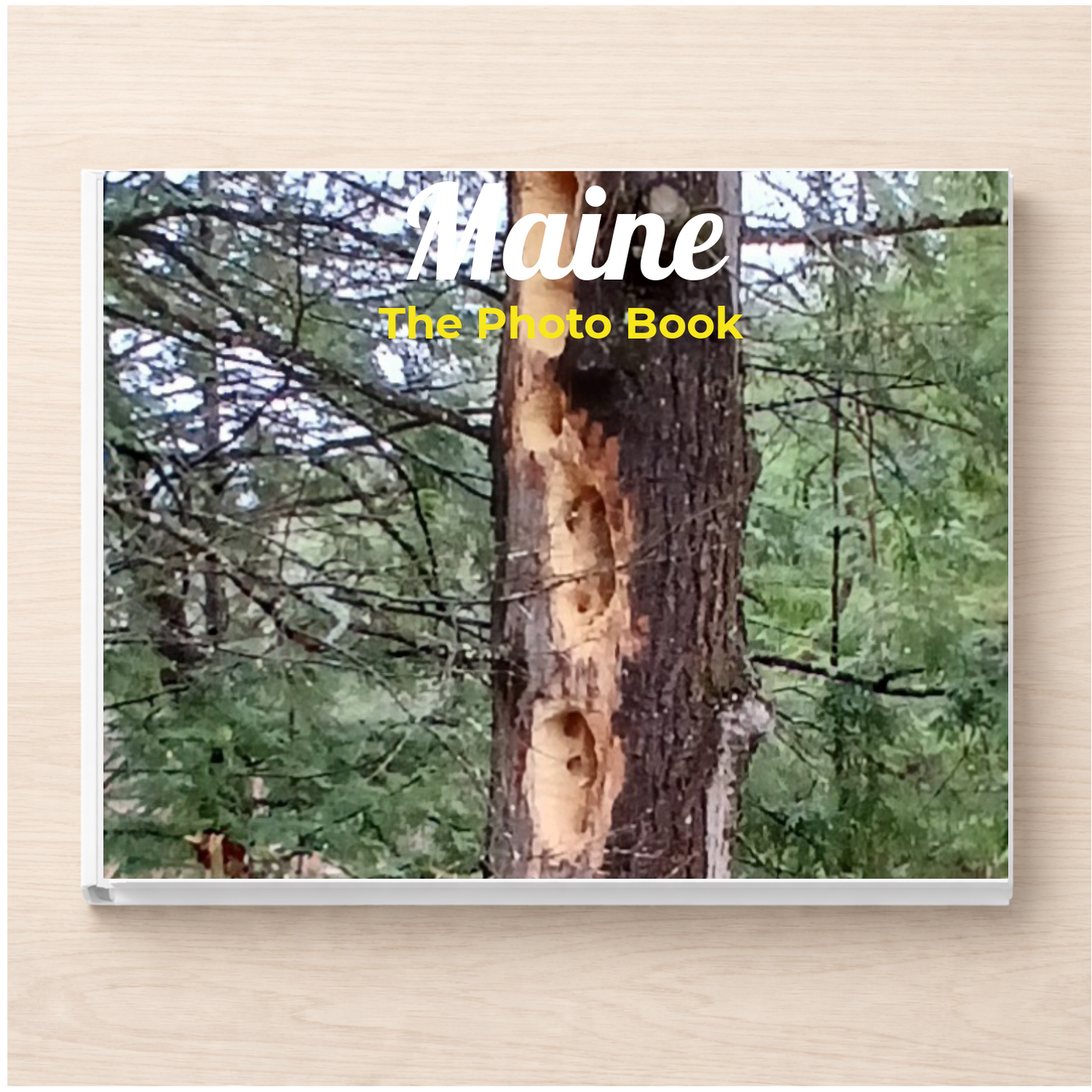 Maine: The Photo Book