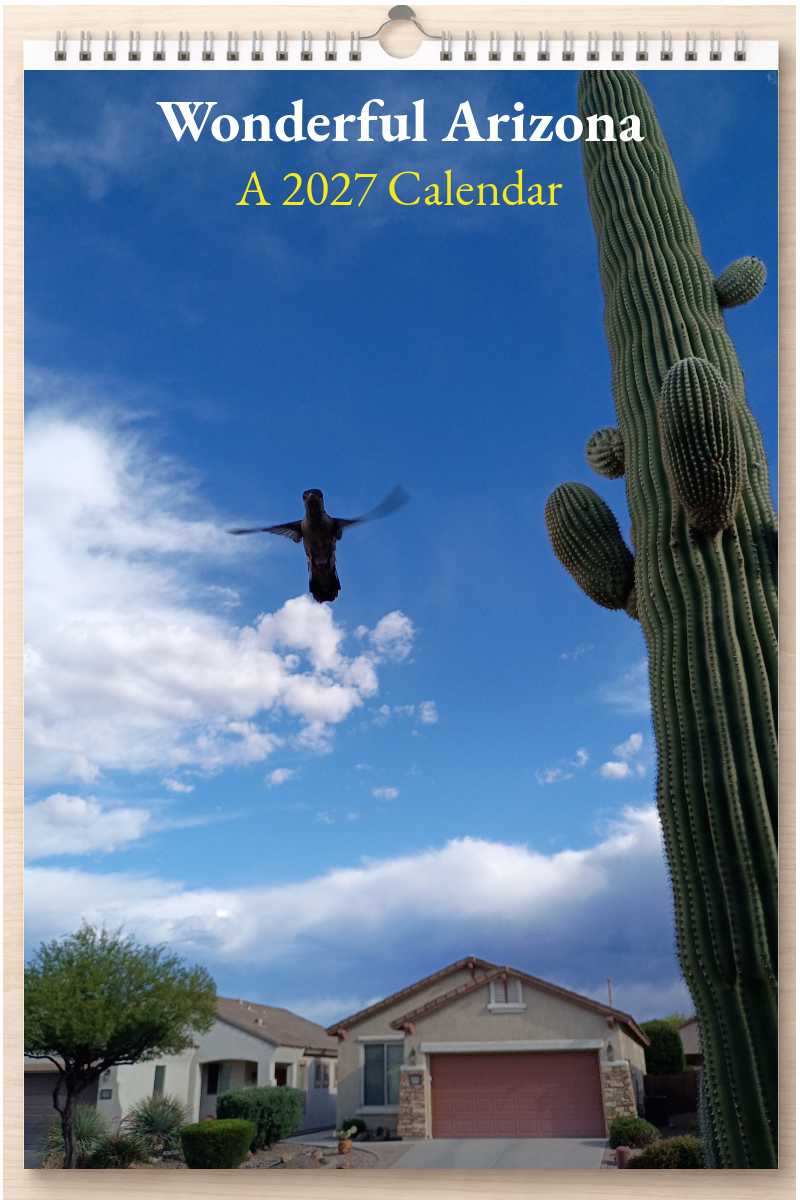 Wonderful Arizona: A 2027 Calendar
