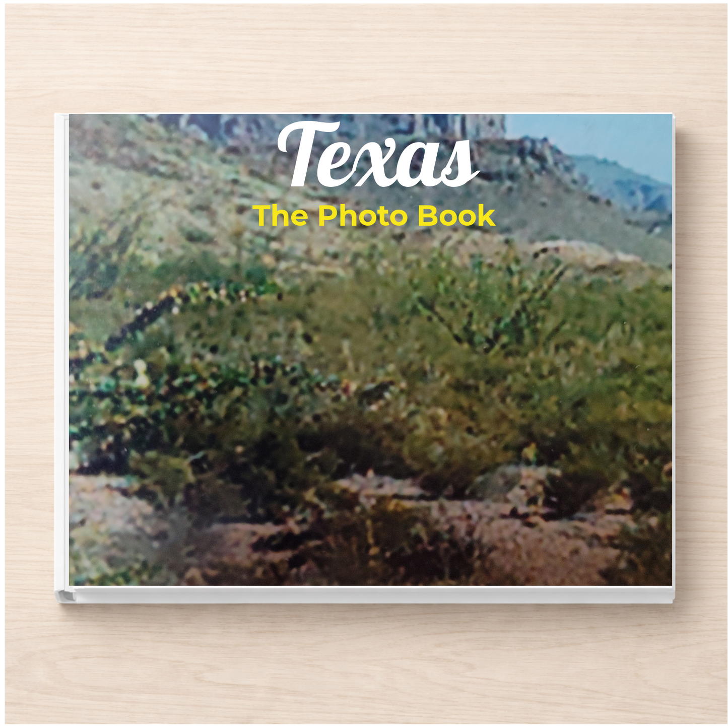 Texas: The Photo Book
